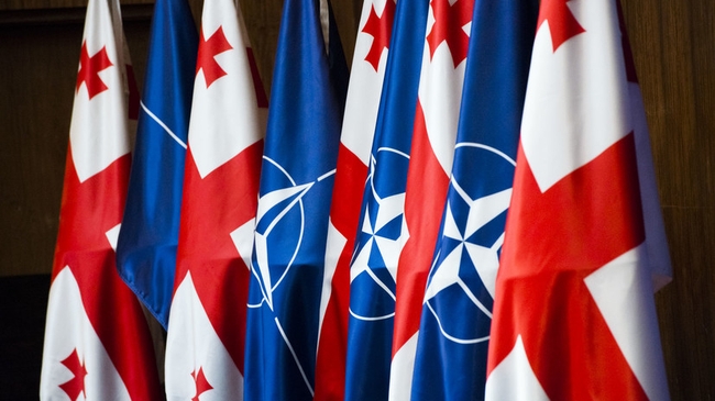 В Грузії відповіли Лаврову про насильне затягування країни до НАТО
