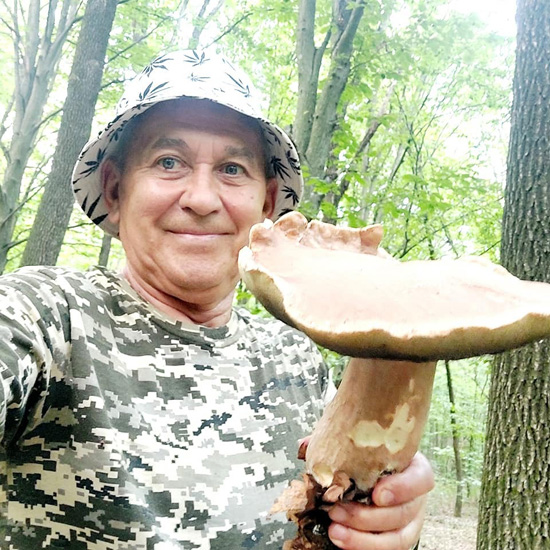 Мрія всіх справжніх грибників: Гриба-гіганта знайшли на Рівненщині (ФОТО)