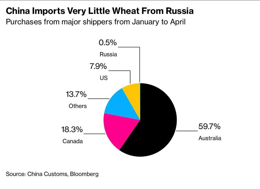 Китай отказался закупать российскую пшеницу