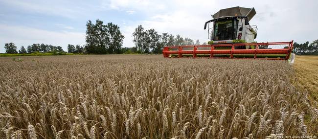 ЄС домагається вивезення зерна з України