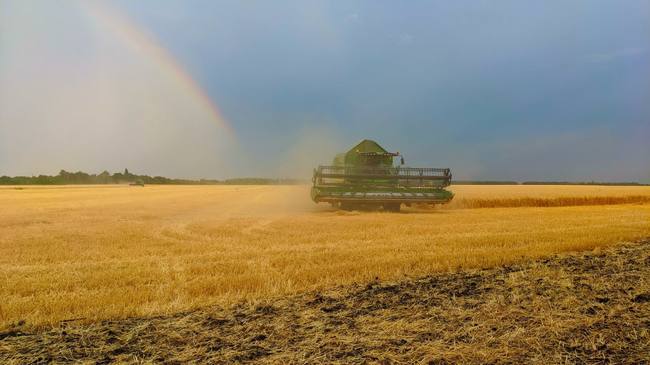 Аграрии Харьковской области собрали более 643 тысяч тонн зерна нового урожая