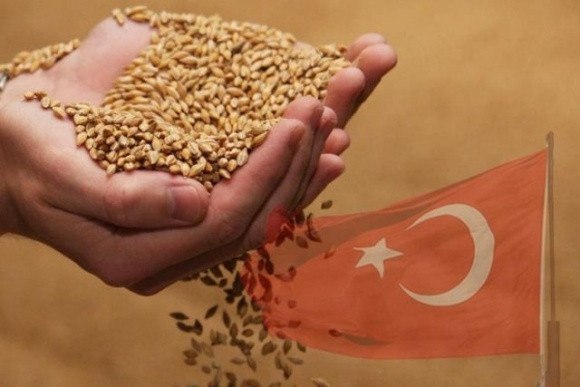 росія хоче продавати зерно в Африку за посередництва Туреччини — Bild.