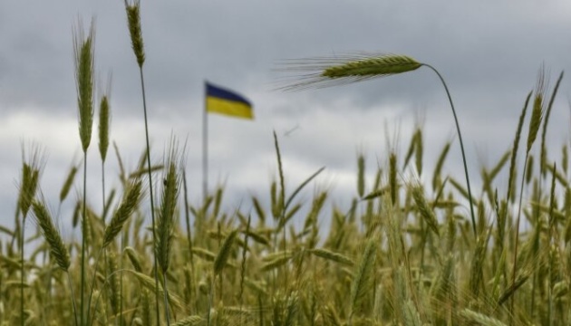 Пять країн ЄС підтримують заборону імпорту українського зерна до кінця року