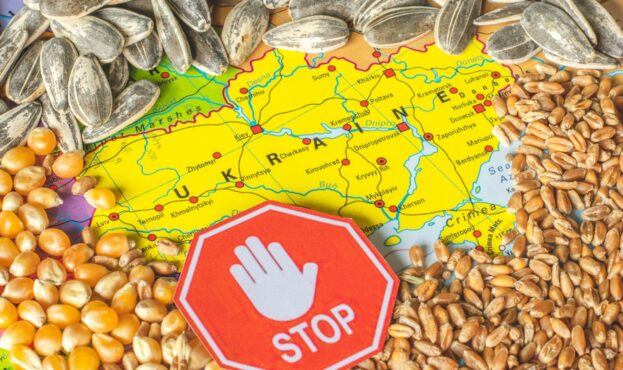 У МЗС України відреагували на намір п’яти сусідніх країн продовжити заборону на експорт української продукції після 15 вересня