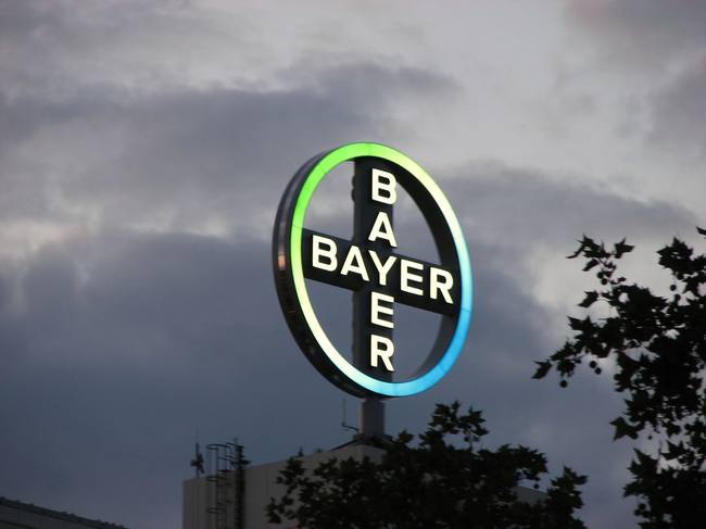 Bayer начала строительство завода Monsanto по производству семян кукурузы в Житомирской области