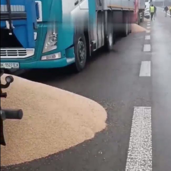 Польські фермери намагаються  висипати зерно з українських вантажівок, які стоять на заблокованому кордоні