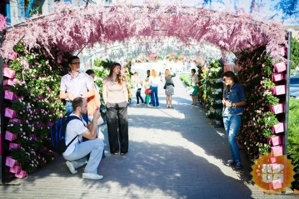 В Харькове появилась необычная цветочная галерея под открытым небом