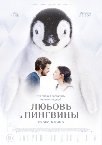 Кохання та пінгвіни