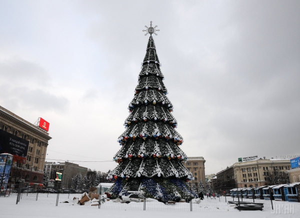 У Харкові встановили найвищу новорічну ялинку в Україні (фото)

