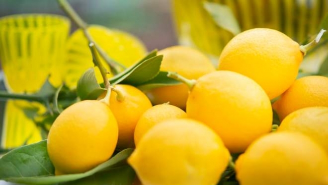 Лимон – його користь та застосування в гасторономії: цікаві поради від Марко Черветті
