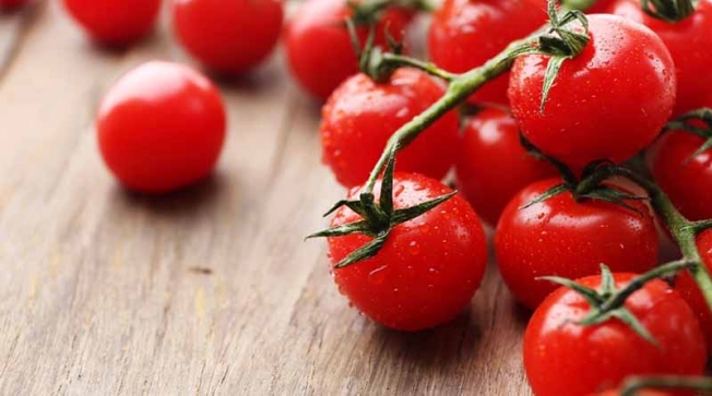 У Японії виростили помідори, які знижують артеріальний тиск