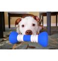 GoBone – первая в мире «умная» косточка для собак!