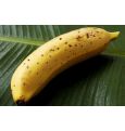 В Японии появились бананы со съедобной кожурой