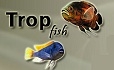 TropFish, компания