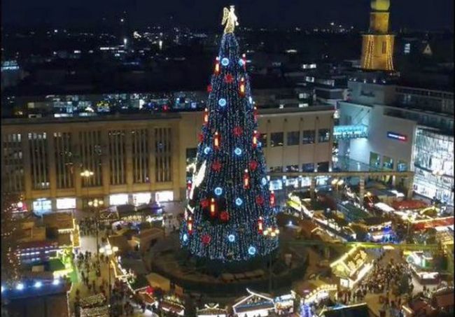 Харьков слегка не дотянул: самая высокая елка установлена в Германии