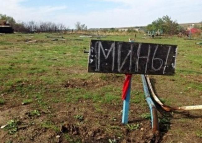 Разминирование Донбасса: за неделю взрывотехники очистили еще 45 га территории