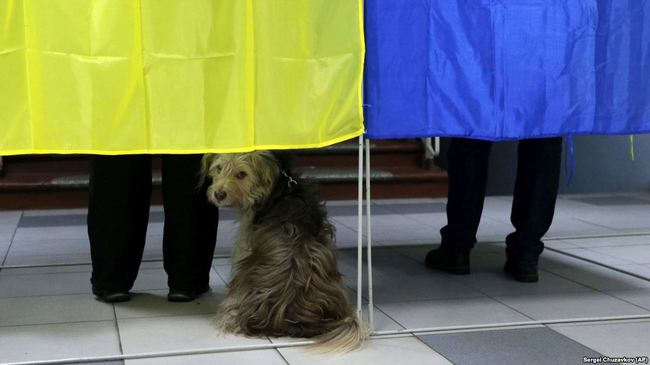 Раді пропонують у законі передбачити неможливість участі спостерігачів із Росії на виборах