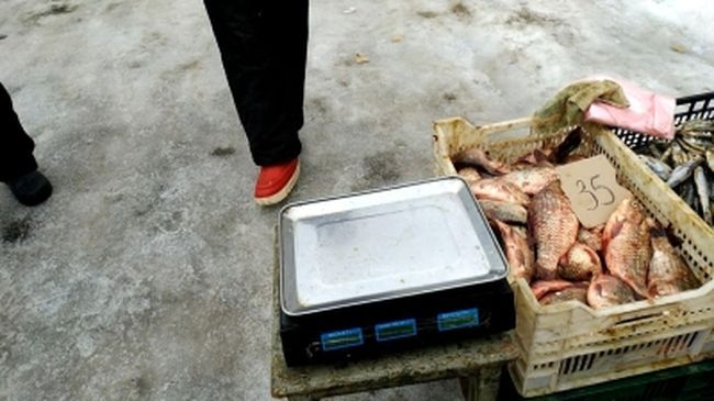 На рынках Харьковщины продолжаются проверки рыбных рядов