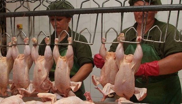 З України торік експортували рекордну кількість м’яса птиці — експерти