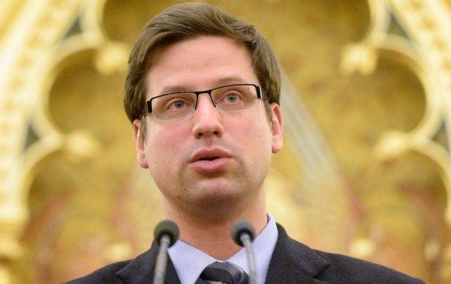 Венгерский министр назвал украинский закон об образовании полуфашистским