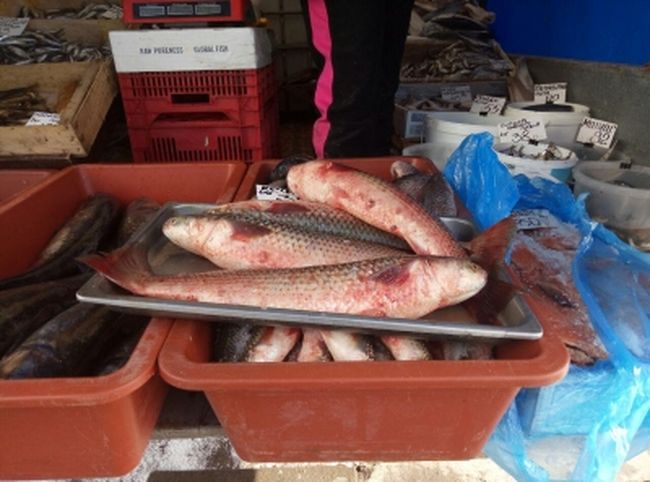На рынках Харьковщины проверяют торговцев рыбой