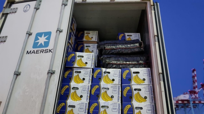 Скануючи контейнер з бананами, одеські митники виявили 257 кг кокаїну