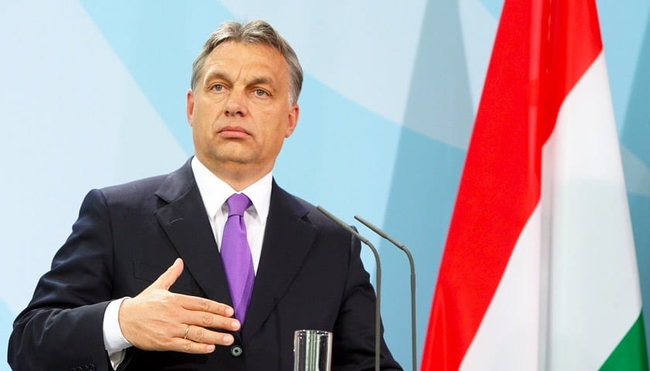 Орбан предлагал Польше принять участие в разделении территории Украины – польский политик