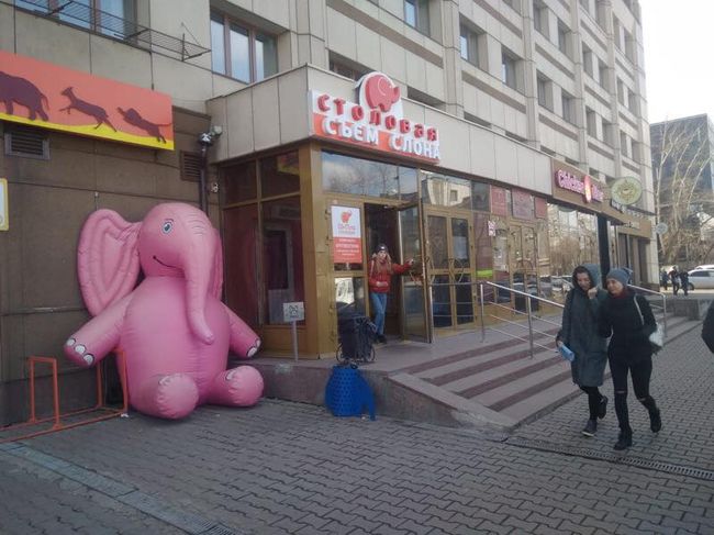 Красноярский депутат объявил войну большому розовому слону