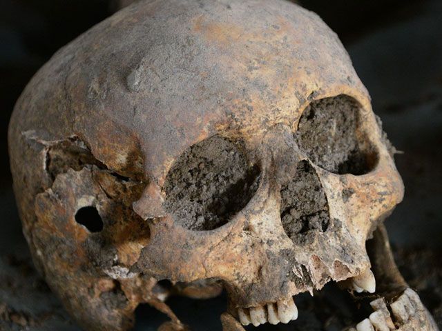 В Казани дворник, найдя человеческий череп, нарисовал на нем свастику, насадил его на палку и установил на мусорный бак