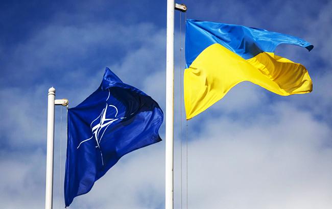В 2023 году Украина может получить План действий по членству в НАТО