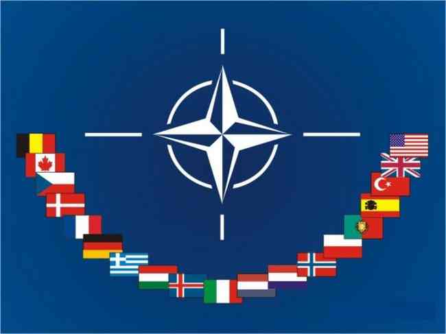 Альянс НАТО готов ответить на кибератаки применением 5-й статьи устава о коллективной обороне