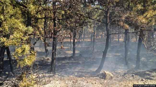 Рятувальники: всюди, крім Західної України, переважає надзвичайна небезпека пожеж