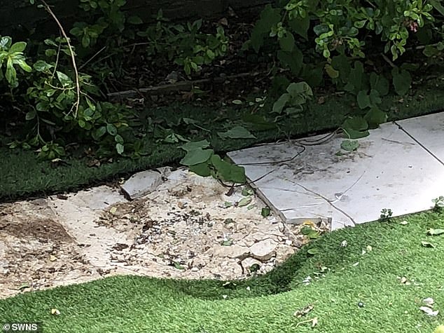 В сад жителей Лондона с неба упал труп