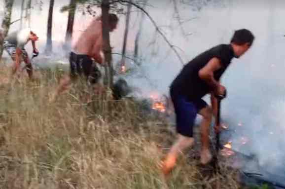 Украинские заробитчане остановили пожар в польском лесу. ВИДЕО