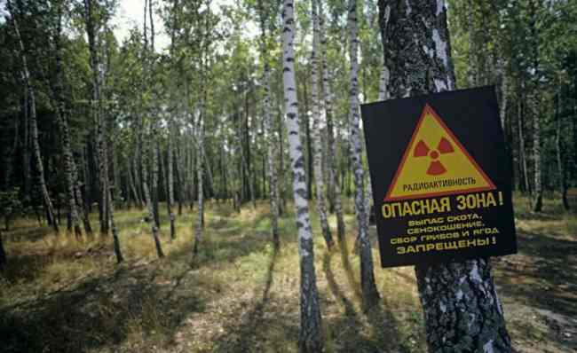 В Чернобыле поймали искателей приключений из Казахстана
