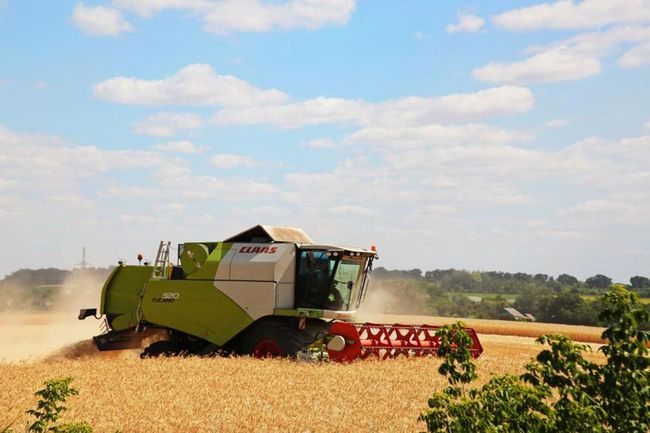 Харьковские аграрии намолотили два миллиона тонн зерна