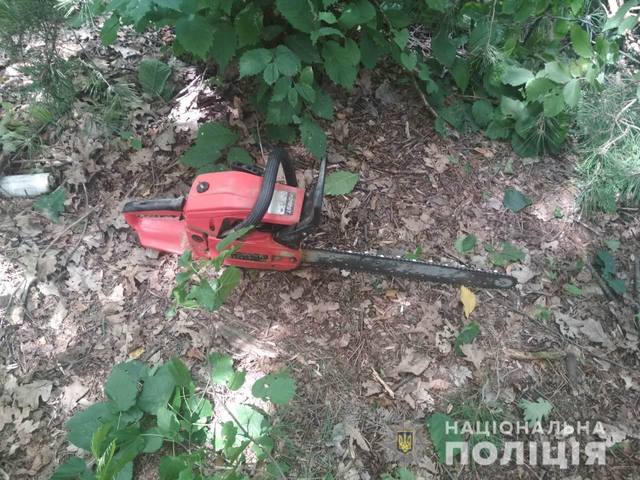 Под Харьковом спилили дубы и сосны (ФОТО)
