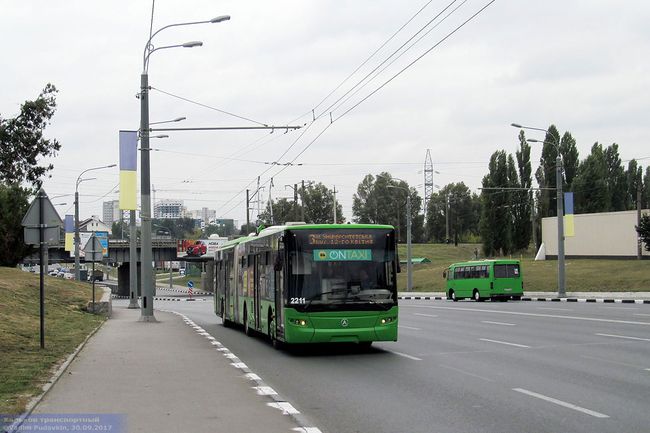 Два троллейбуса снимут с маршрутов