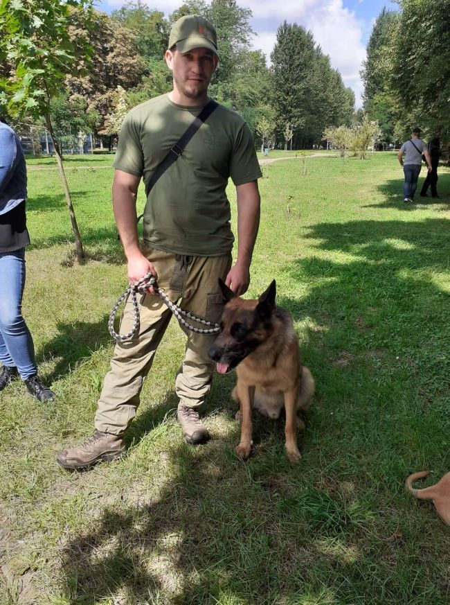 Во Львове наградили собак, которые выполняли боевые задания на Донбассе: ЯРКИЕ ФОТО
