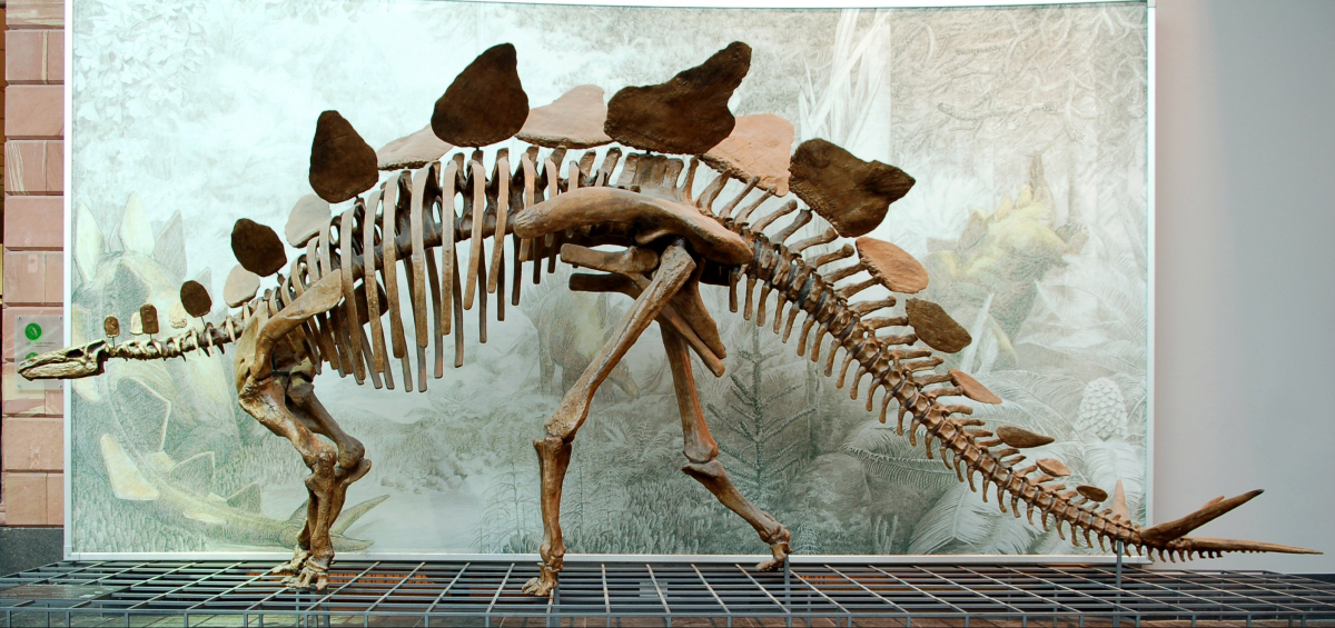 У Марокко науковці знайшли рештки найдавнішого динозавра