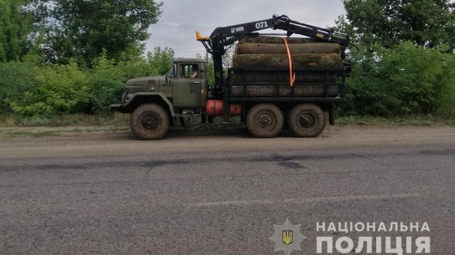 Почти 60 млн грн: в ГБР озвучили сумму убытков от вырубки леса на Харьковщине