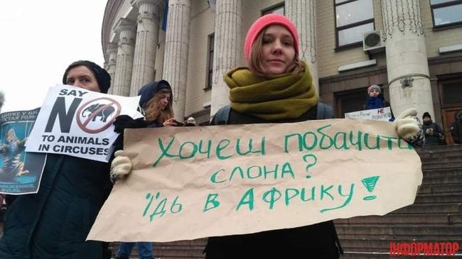 Харьковские активисты присоединятся ко Всеукраинскому маршу в защиту животных