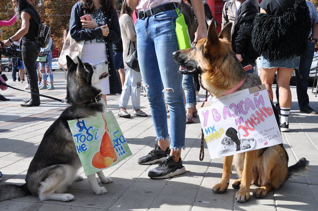 Марш за права животных прошел одновременно в 24 городах Украины. ВИДЕО+ФОТО