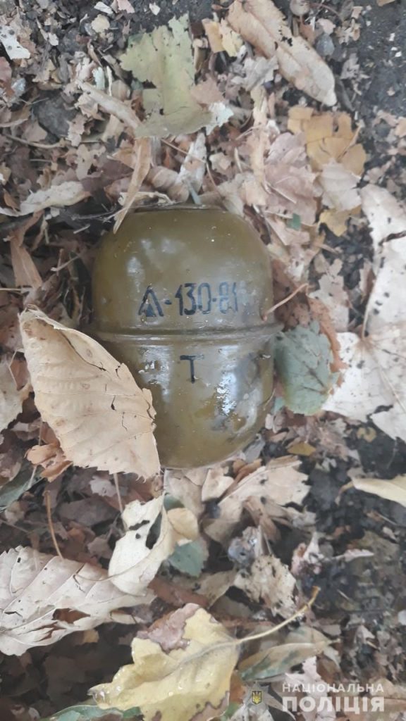 В Харькове в листьях нашли гранату (ФОТО)