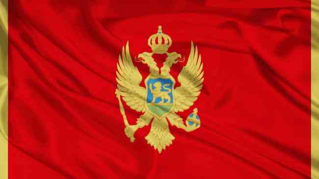Попытались раскачать: в Черногории арестовали лидеров пророссийской партии
