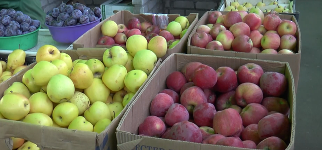 У Харкові ціни на яблука сягають 35 гривень за кілограм (ВІДЕО)