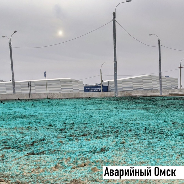 В Омске к приезду Путина землю покрасили в зелёный цвет