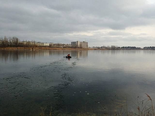В Харькове лебеди оказались в ледяном плену (ФОТО)