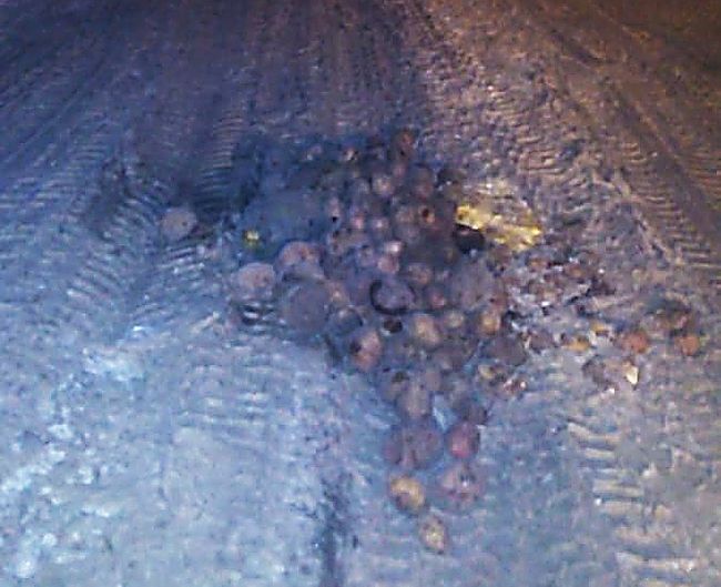 Омичи заделывают ямы на дороге картошкой