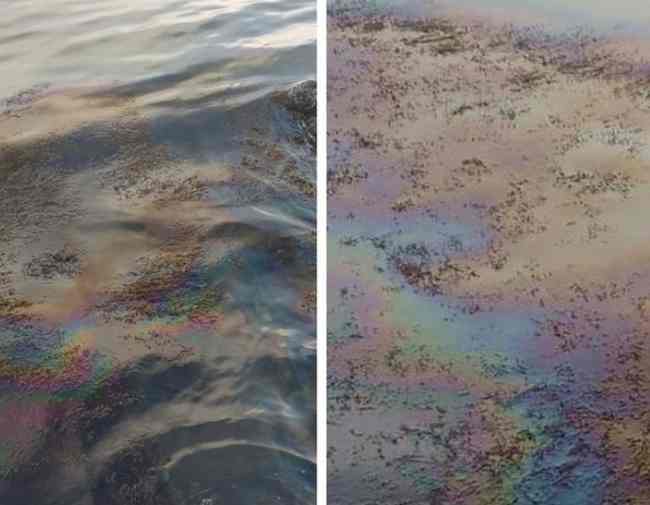Екологічне лихо в Криму: море затягло нафтопродуктами